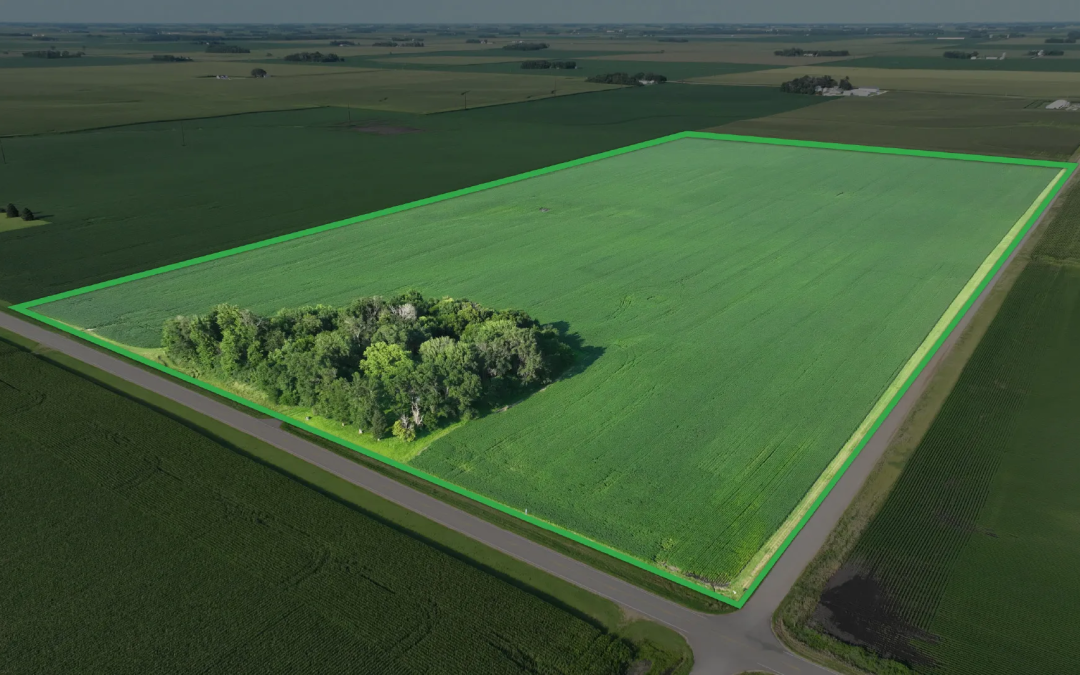 79.53± Acre Farm Auction – Faribault County