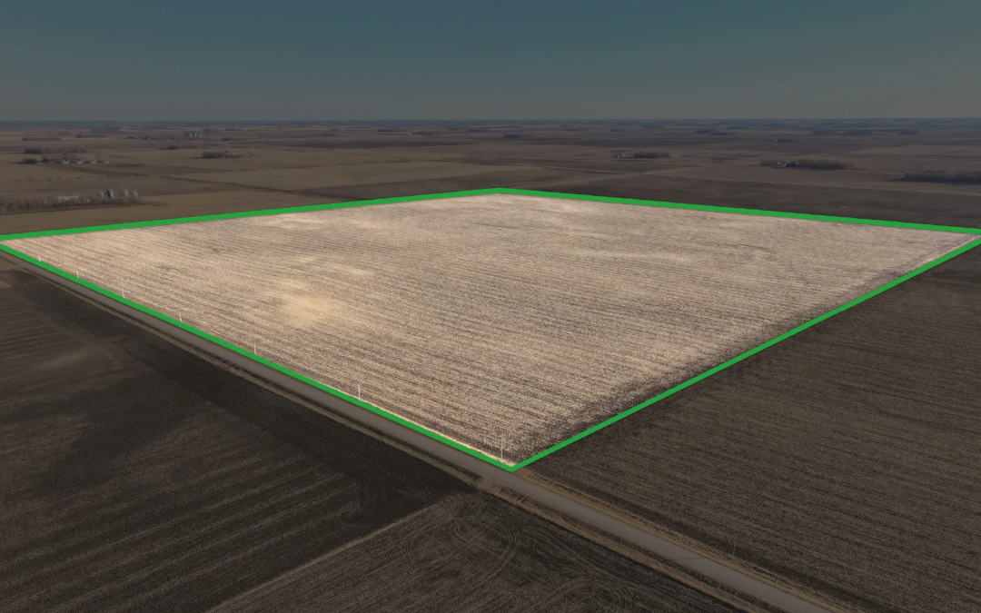 160.00± Acre Farm Auction – Redwood County