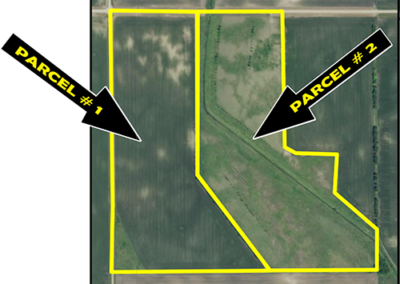 124.34± Acre, Multi-Parcel Farm Auction | Redwood County, MN