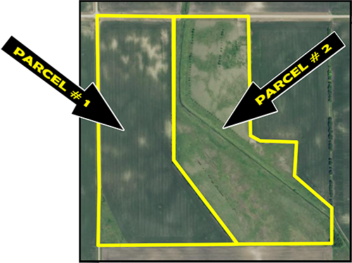 124.34± Acre, Multi-Parcel Farm Auction | Redwood County, MN