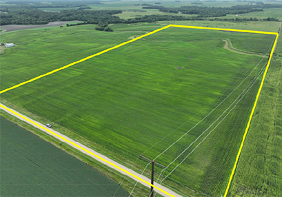 79.4± Acre, Single Parcel Farm Auction | Blue Earth County