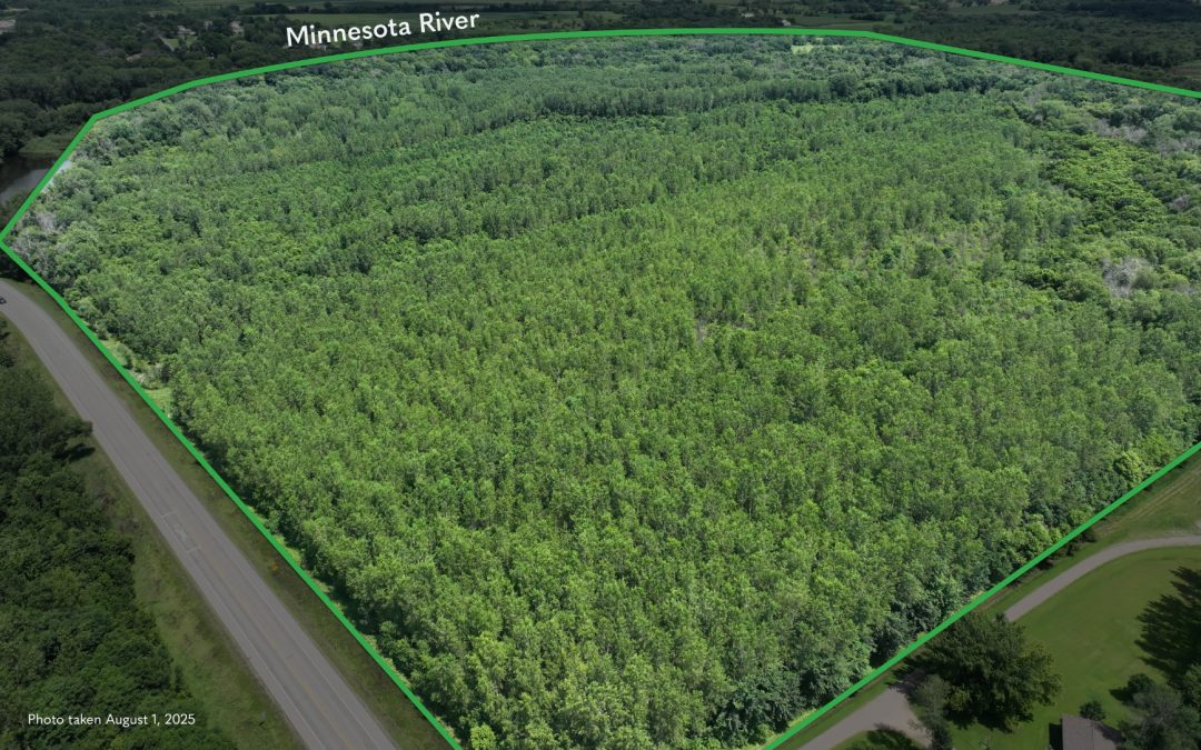 160.44± Acre Farm Sale – Blue Earth County