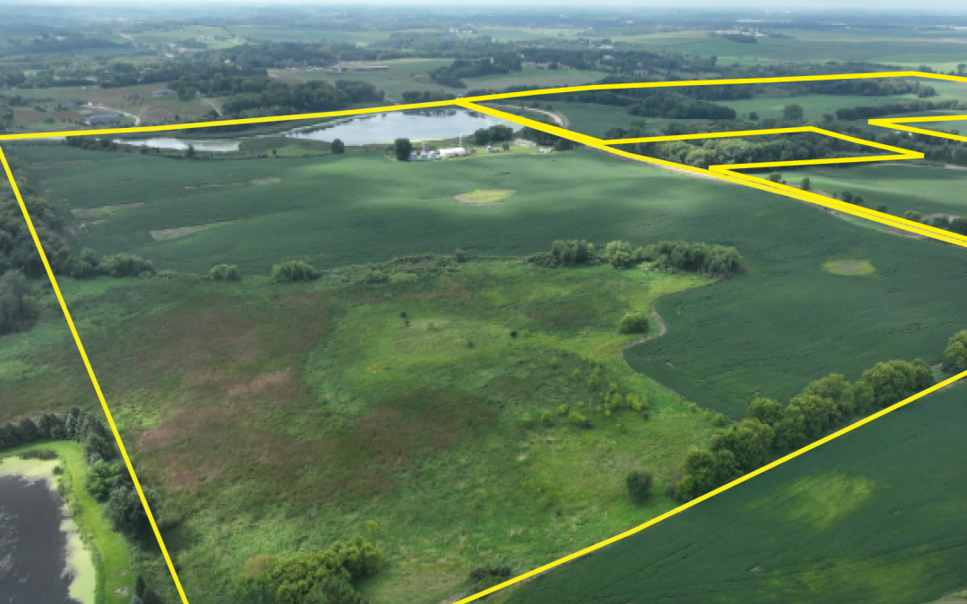 196.65+/- Acre, Multi-Parcel Farm Auction | Scott County