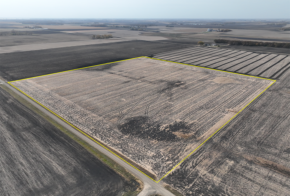 40 +/- Acre, Single-Parcel Farm AuctionBlue Earth County