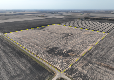 40 +/- Acre, Single-Parcel Farm Auction | Blue Earth County