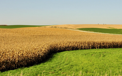 When is the Best time to Sell My Farmland?