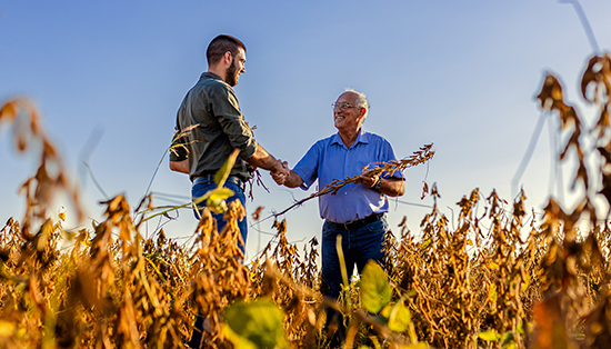 Farmland Auctions & Sales in Southern Minnesota