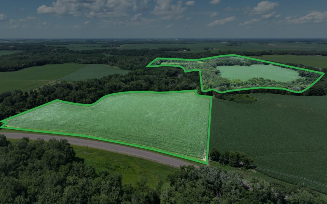 149.29± Acre Farm Sale – Blue Earth County