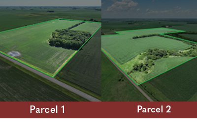 187.39± Acre Farm Auction – Blue Earth County