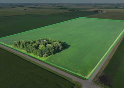 79.53± Acre Farm Auction – Faribault County