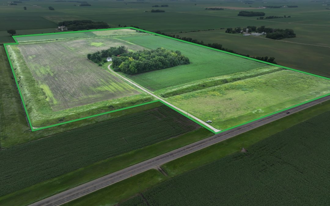 80.31± Acre Farm Sale – Redwood County