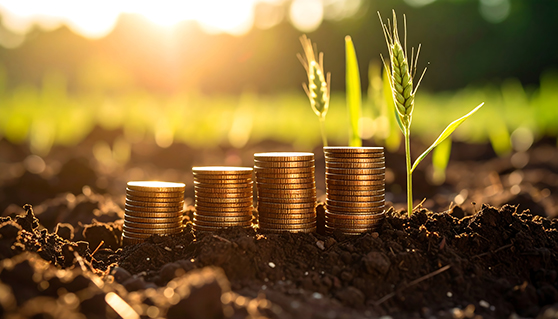 Farmland Investment Farmland Investment