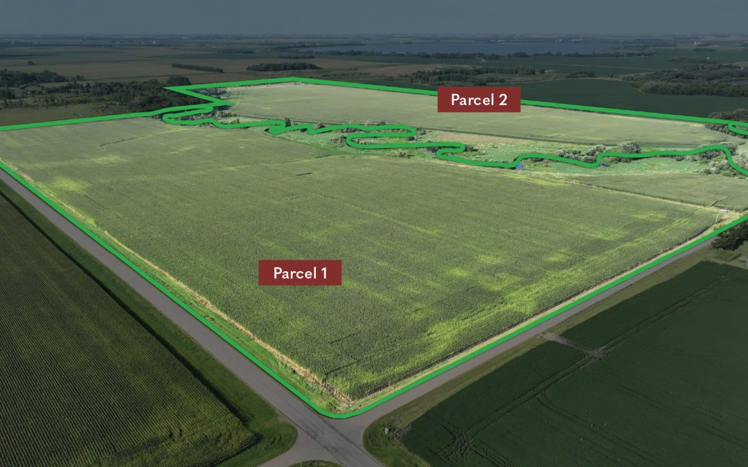 199.80± Acre Farm Sale – Faribault County