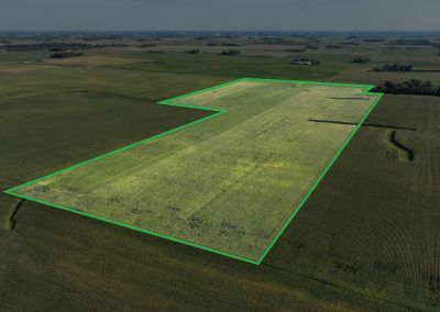 54.30± Acre Farm Auction – Blue Earth County