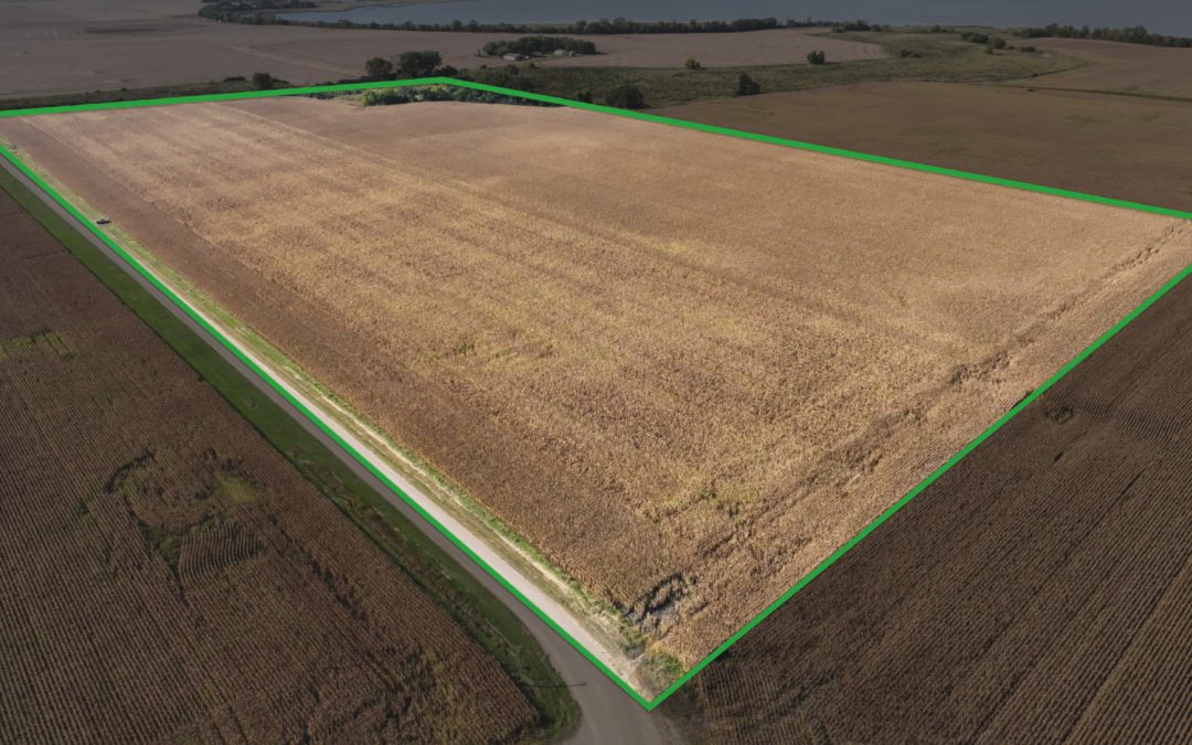 80± Acre Farm Auction – Faribault County