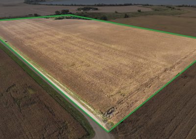 80± Acre Farm Auction – Faribault County