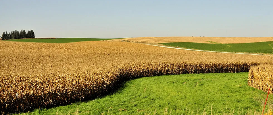 Market Update – What We’re Seeing Across Minnesota Market Update - What We’re Seeing Across Minnesota