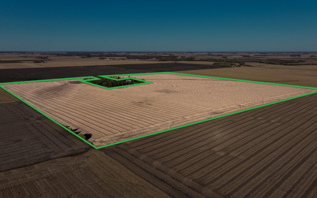 150.83± Acre Farm Auction – Blue Earth County