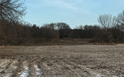 Minnesota Farmland Values December 2025: Market Trends, Land Prices, and USDA Policy Impact