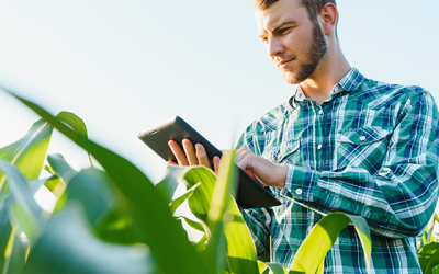 2026 Beginning Farmer Tax Credit: A Quick Overview for Minnesota Landowners