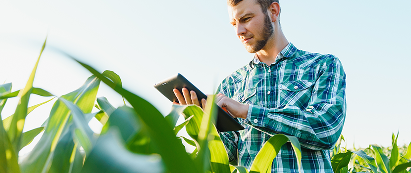 2026 Beginning Farmer Tax Credit – A Quick Overview for Minnesota Landowners 2026 Beginning Farmer Tax Credit - A Quick Overview for Minnesota Landowners