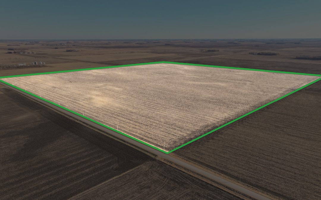 160.00± Acre Farm Auction – Redwood County