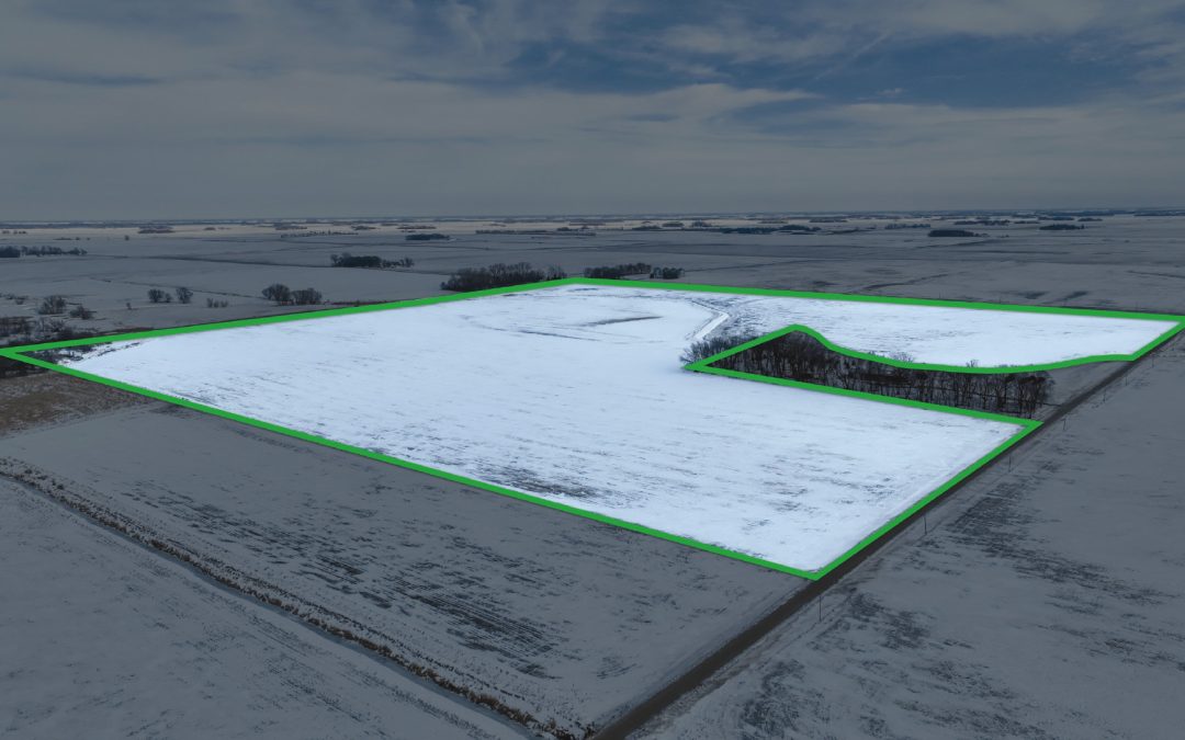 150.70± Acre Farm Sale – Faribault County