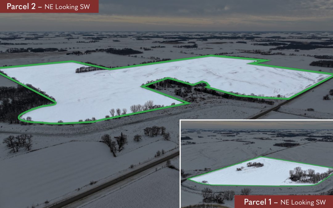 274.00± Acre Farm Auction – Freeborn County