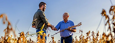 Farmland Auctions & Sales