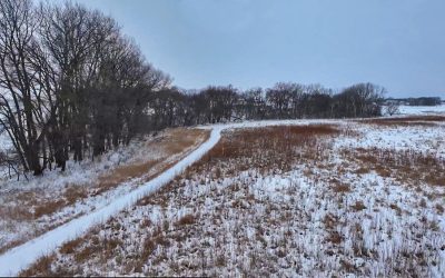 Easements: What Minnesota Landowners Should Know to Avoid Surprises
