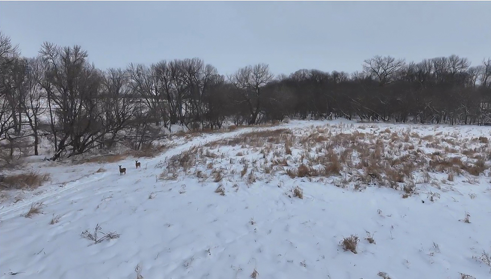 January 2026 Farmland Market Update: What We’re Seeing Across Southern Minnesota January 2026 Farmland Market Update: What We’re Seeing Across Southern Minnesota