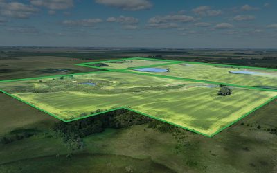 A Family Decision After 100+ Years