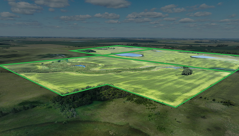 A Family Decision After 100+ Years A Family Decision After 100+ Years