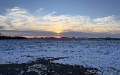 Market Update: Trends & Direction