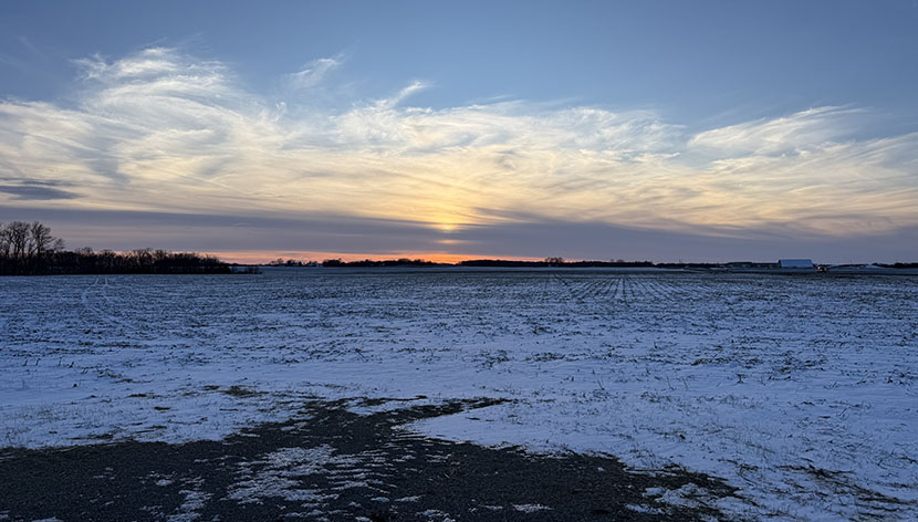 Market Update: What We’re Seeing Right Now