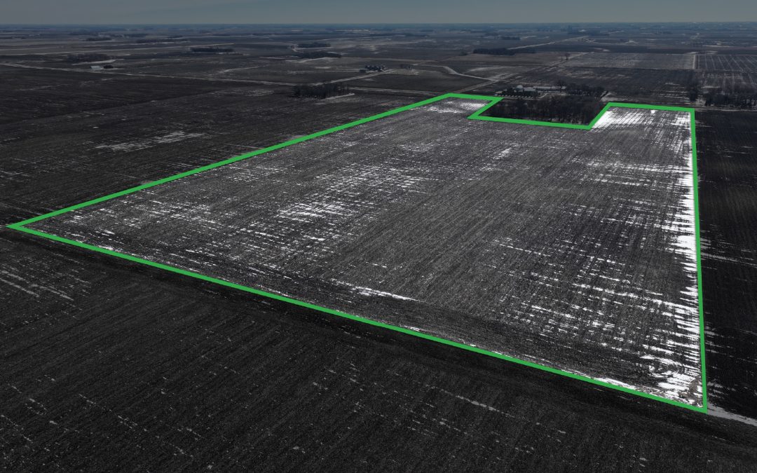 71.45± Acre Farm Auction – Redwood County