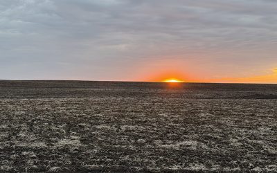 March 2026 Southern Minnesota Farmland Market Update