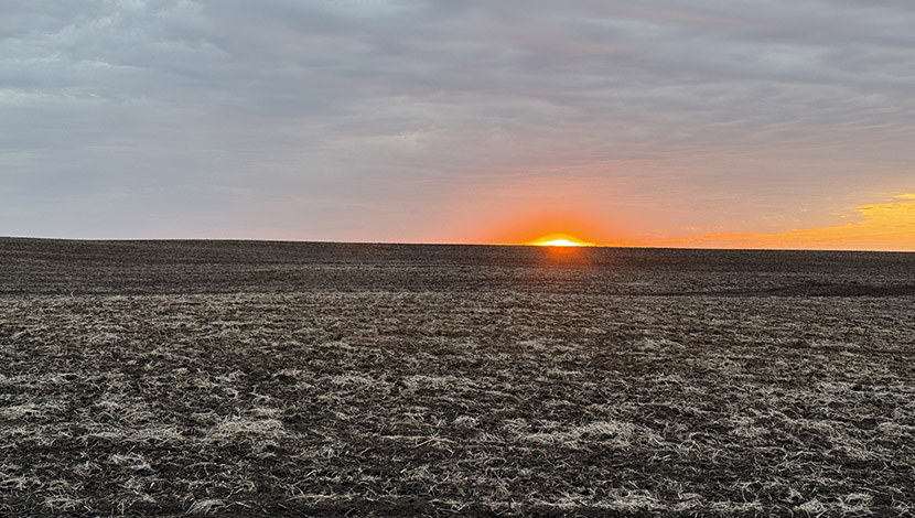 March 2026 Southern Minnesota Farmland Market Update