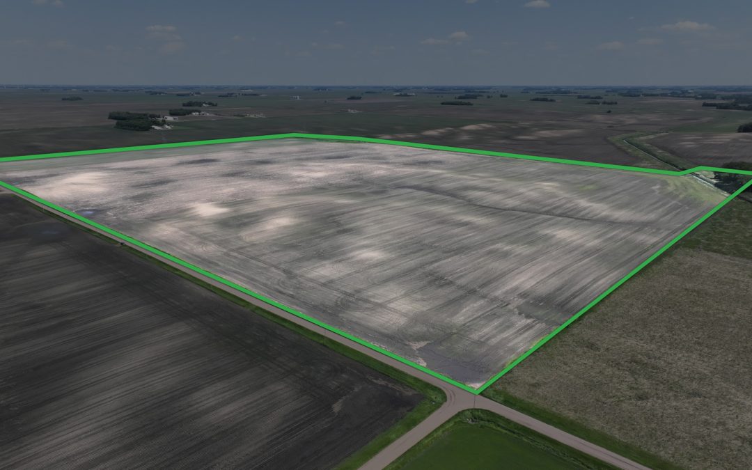 150.00± Acre Farm Sale – Renville County