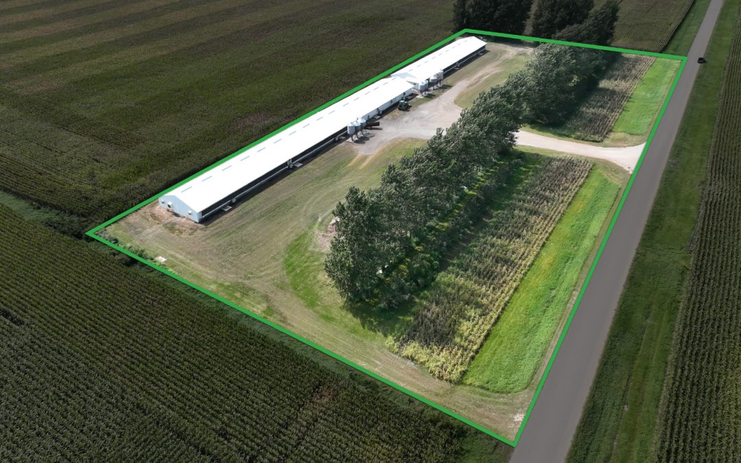 5.59± ACRE FARM SALE – Faribault County