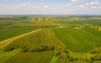 Looking Beyond the Surface of Farmland Value