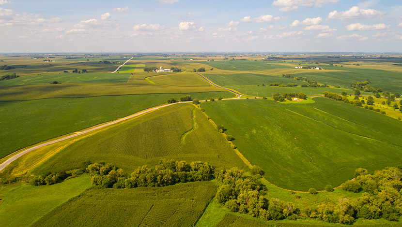Looking Beyond the Surface of Farmland Value Looking Beyond the Surface of Farmland Value