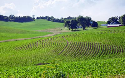 Understanding Section 1062 in a Farmland Sale