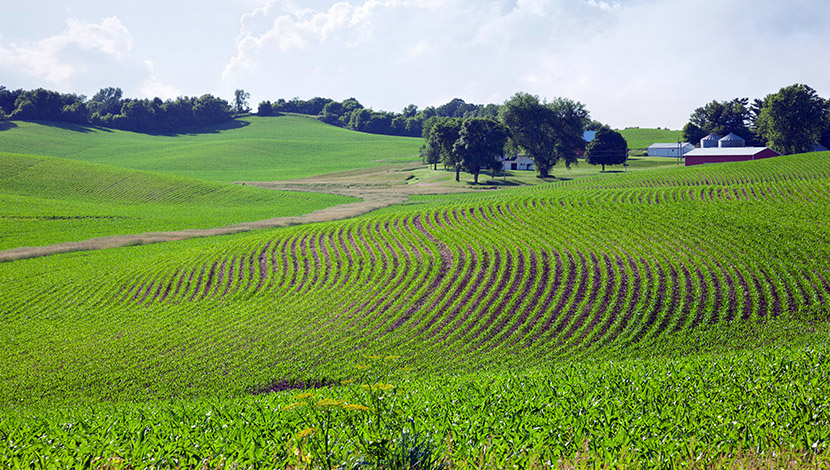 Understanding Section 1062 in a Farmland Sale