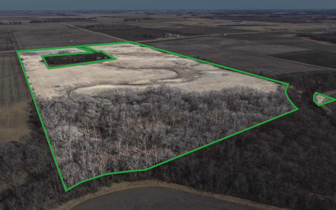 76.47± Acre Farm Sale – Blue Earth County