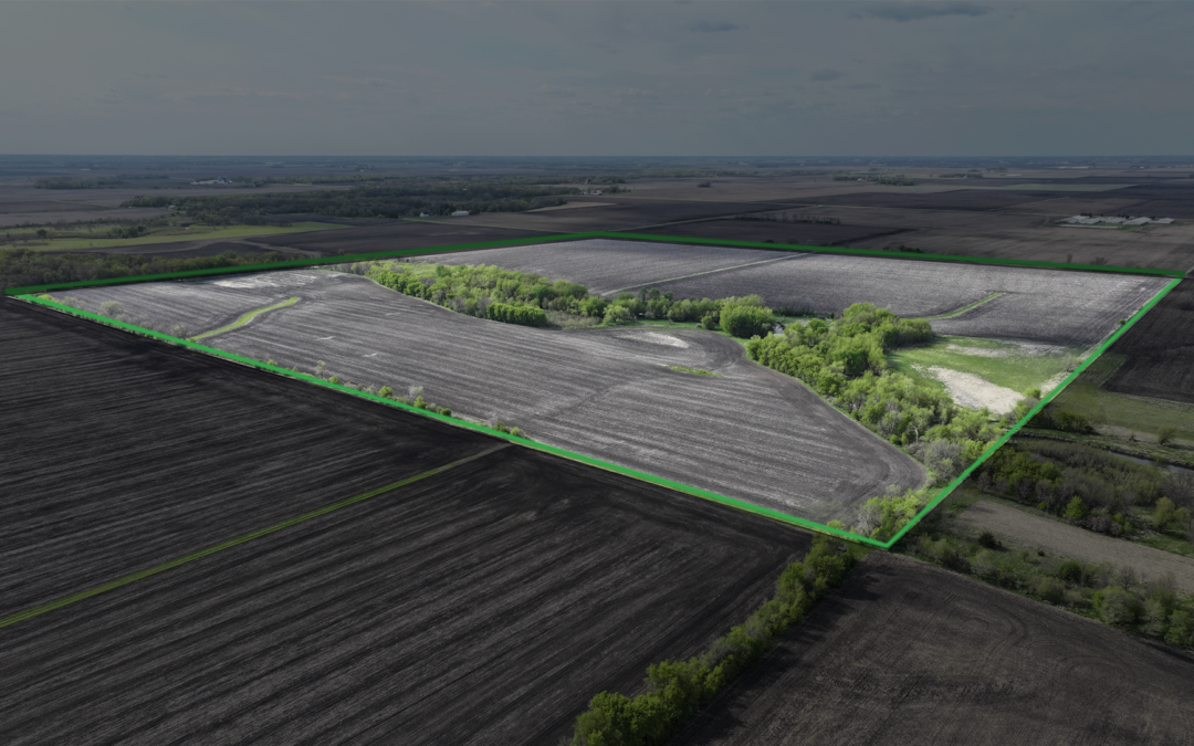 160.00± Acre Farm Sale – Faribault County