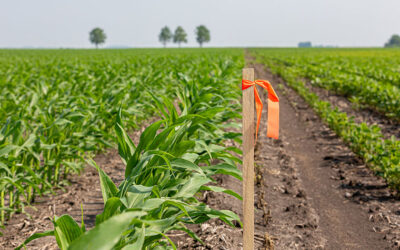 Should You Split a Parcel When Selling Land?