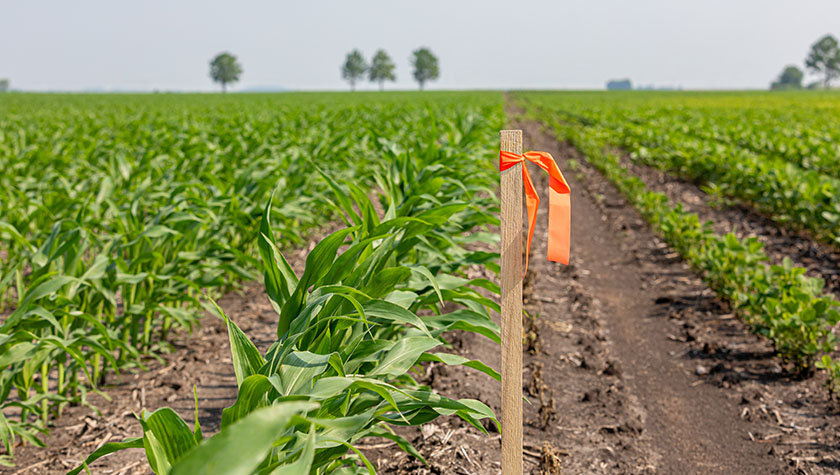 Should You Split a Parcel When Selling Land Should You Split a Parcel When Selling Land