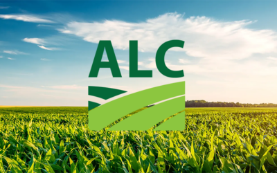 What Is an Accredited Land Consultant? What Land Sellers Should Know